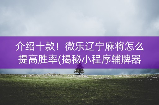 介绍十款！微乐辽宁麻将怎么提高胜率(揭秘小程序辅牌器)
