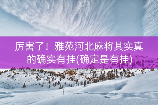 厉害了！雅苑河北麻将其实真的确实有挂(确定是有挂)