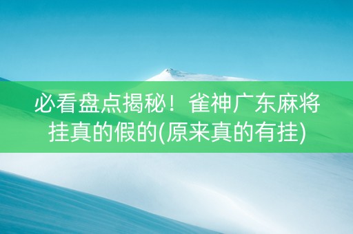 必看盘点揭秘！雀神广东麻将挂真的假的(原来真的有挂)