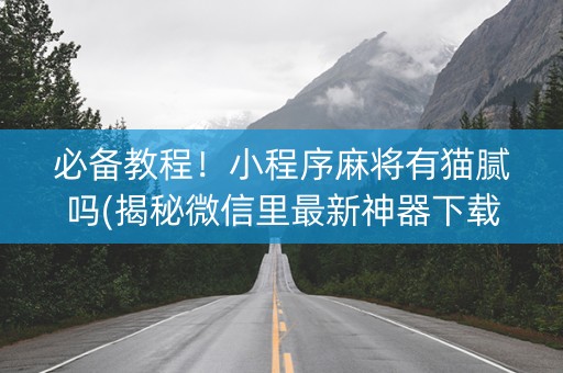 必备教程！小程序麻将有猫腻吗(揭秘微信里最新神器下载)