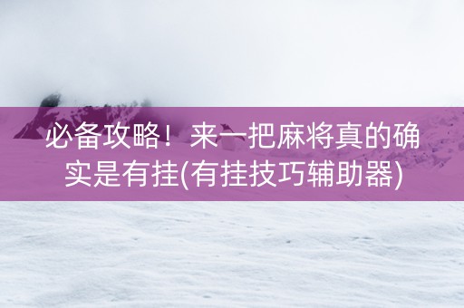 必备攻略！来一把麻将真的确实是有挂(有挂技巧辅助器)