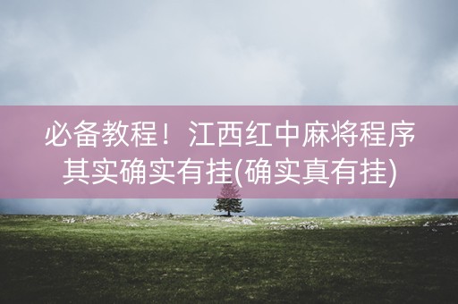 必备教程！江西红中麻将程序其实确实有挂(确实真有挂)