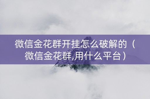 微信金花群开挂怎么破解的（微信金花群,用什么平台）