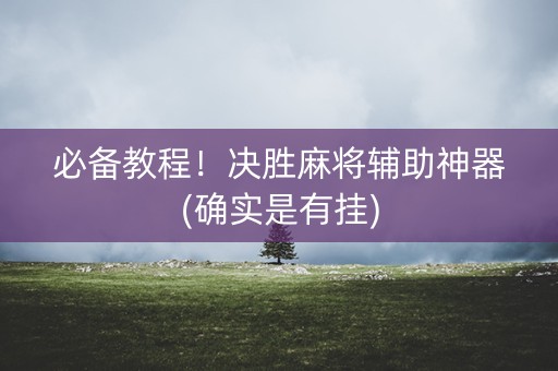 必备教程！决胜麻将辅助神器(确实是有挂)