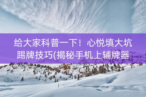 给大家科普一下！心悦填大坑踢牌技巧(揭秘手机上辅牌器)