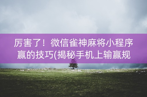 厉害了！微信雀神麻将小程序赢的技巧(揭秘手机上输赢规律)