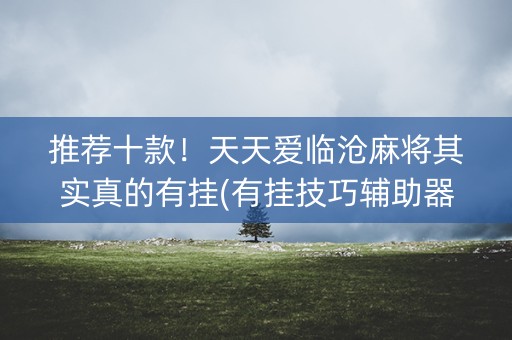 推荐十款！天天爱临沧麻将其实真的有挂(有挂技巧辅助器)