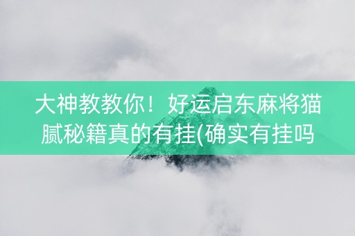 大神教教你！好运启东麻将猫腻秘籍真的有挂(确实有挂吗)