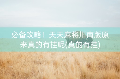 必备攻略！天天麻将川南版原来真的有挂呢(真的有挂)