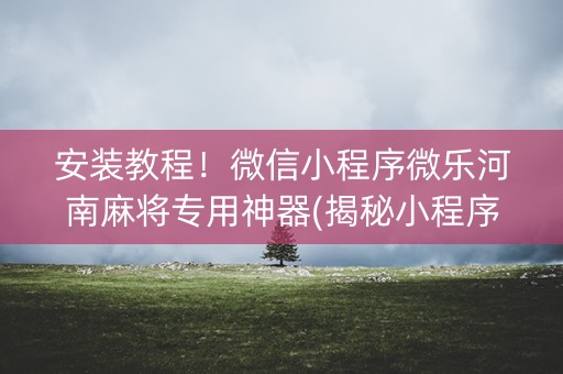 安装教程！微信小程序微乐河南麻将专用神器(揭秘小程序如何让牌变好)
