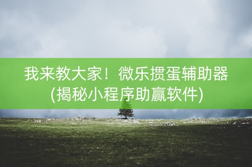 我来教大家！微乐掼蛋辅助器(揭秘小程序助赢软件)