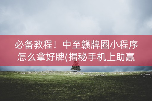 必备教程！中至赣牌圈小程序怎么拿好牌(揭秘手机上助赢软件)