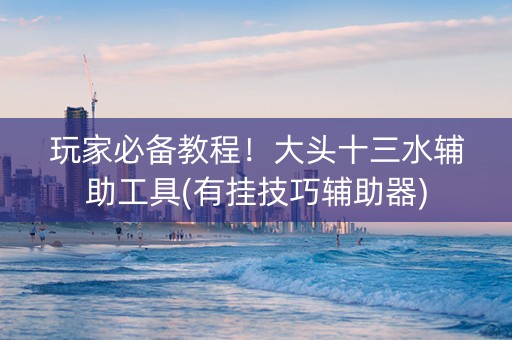 玩家必备教程！大头十三水辅助工具(有挂技巧辅助器)