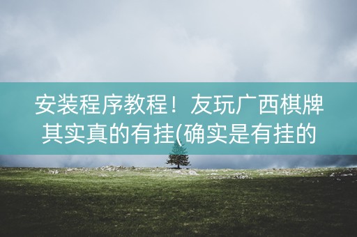 安装程序教程！友玩广西棋牌其实真的有挂(确实是有挂的)