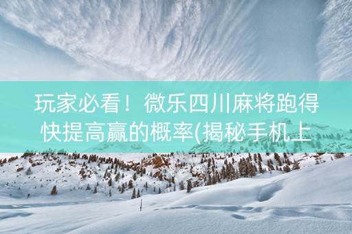 玩家必看！微乐四川麻将跑得快提高赢的概率(揭秘手机上助赢神器购买)