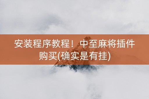 安装程序教程！中至麻将插件购买(确实是有挂)