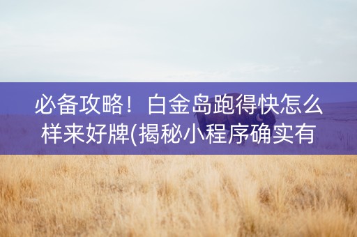 必备攻略！白金岛跑得快怎么样来好牌(揭秘小程序确实有猫腻)
