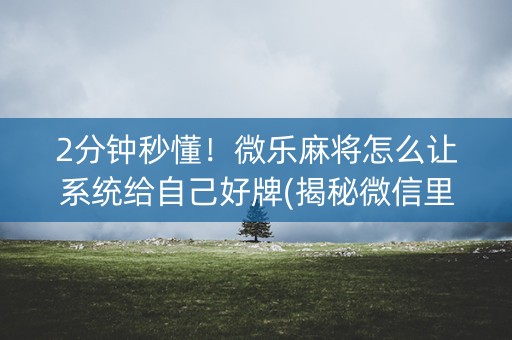 2分钟秒懂！微乐麻将怎么让系统给自己好牌(揭秘微信里助赢软件)
