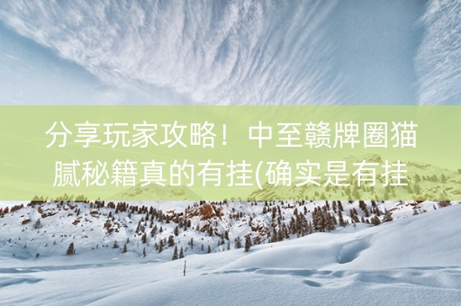 分享玩家攻略！中至赣牌圈猫腻秘籍真的有挂(确实是有挂的)