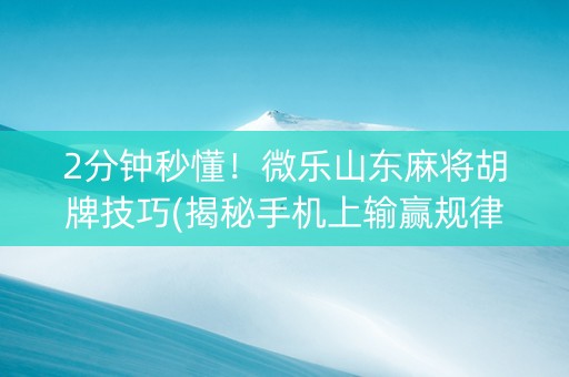 2分钟秒懂！微乐山东麻将胡牌技巧(揭秘手机上输赢规律)