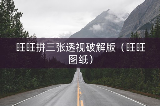 旺旺拼三张透视破解版（旺旺图纸）