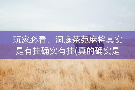 玩家必看！洞庭茶苑麻将其实是有挂确实有挂(真的确实是有挂)