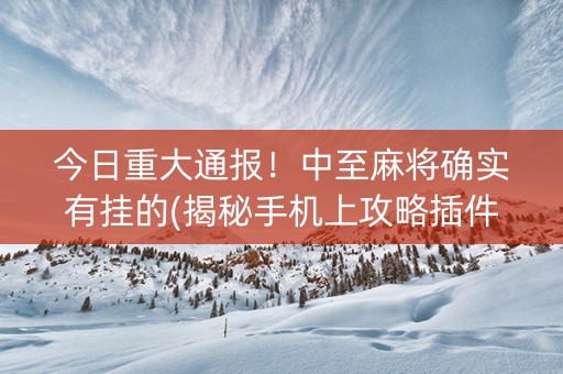 今日重大通报！中至麻将确实有挂的(揭秘手机上攻略插件)