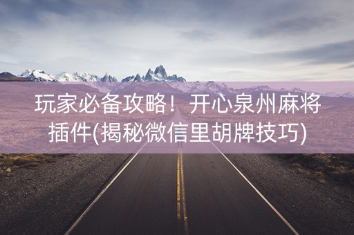 玩家必备攻略！开心泉州麻将插件(揭秘微信里胡牌技巧)