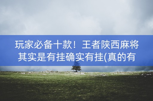 玩家必备十款！王者陕西麻将其实是有挂确实有挂(真的有挂)