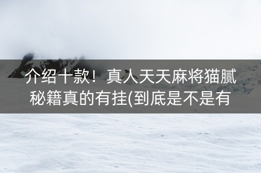 介绍十款！真人天天麻将猫腻秘籍真的有挂(到底是不是有挂)
