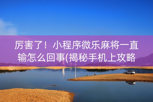 厉害了！小程序微乐麻将一直输怎么回事(揭秘手机上攻略插件)