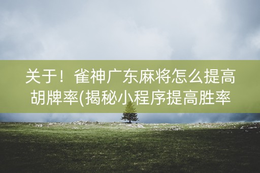 关于！雀神广东麻将怎么提高胡牌率(揭秘小程序提高胜率)