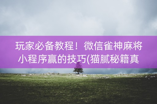 玩家必备教程！微信雀神麻将小程序赢的技巧(猫腻秘籍真的有挂)
