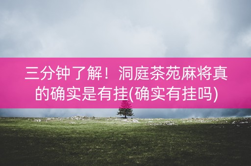 三分钟了解！洞庭茶苑麻将真的确实是有挂(确实有挂吗)