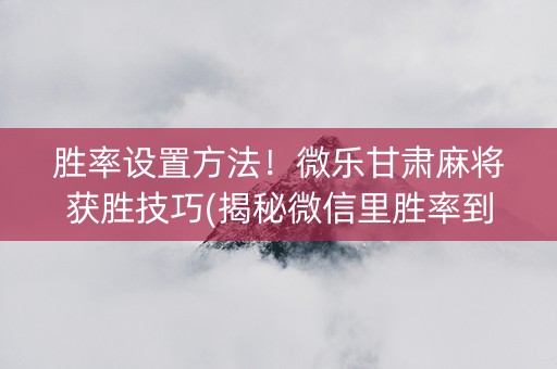 胜率设置方法！微乐甘肃麻将获胜技巧(揭秘微信里胜率到哪调)