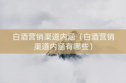 白酒营销渠道内涵（白酒营销渠道内涵有哪些）