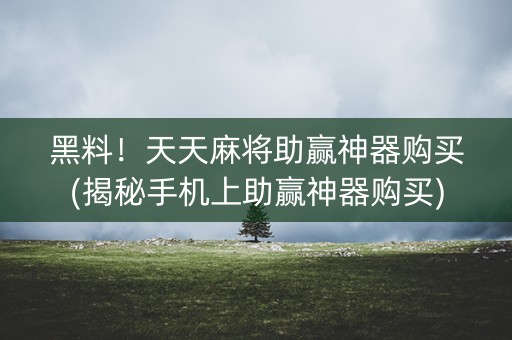 黑料！天天麻将助赢神器购买(揭秘手机上助赢神器购买)
