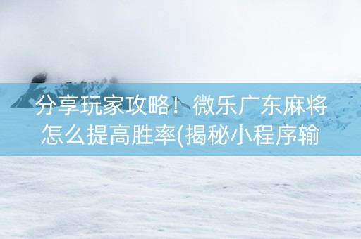分享玩家攻略！微乐广东麻将怎么提高胜率(揭秘小程序输赢规律)