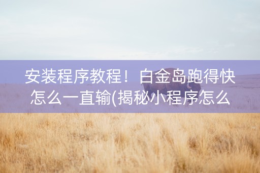 安装程序教程！白金岛跑得快怎么一直输(揭秘小程序怎么容易赢)
