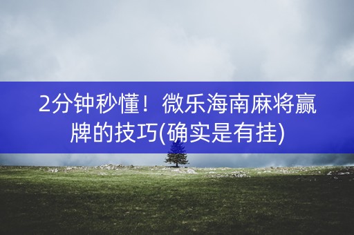 2分钟秒懂！微乐海南麻将赢牌的技巧(确实是有挂)