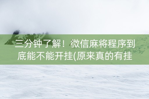 三分钟了解！微信麻将程序到底能不能开挂(原来真的有挂)