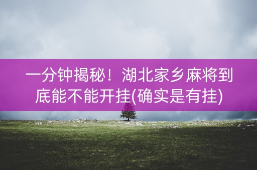 一分钟揭秘！湖北家乡麻将到底能不能开挂(确实是有挂)