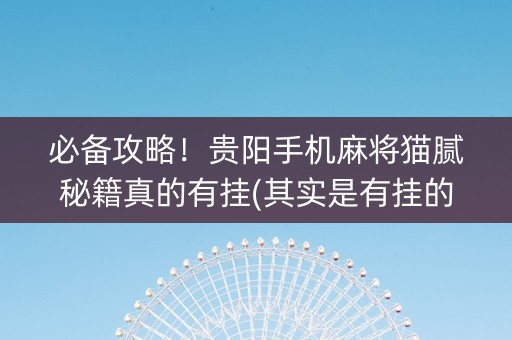必备攻略！贵阳手机麻将猫腻秘籍真的有挂(其实是有挂的)