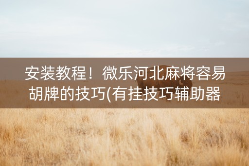 安装教程！微乐河北麻将容易胡牌的技巧(有挂技巧辅助器)