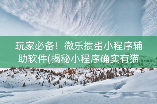 玩家必备！微乐掼蛋小程序辅助软件(揭秘小程序确实有猫腻)
