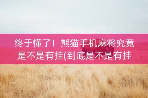 终于懂了！熊猫手机麻将究竟是不是有挂(到底是不是有挂)