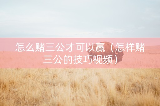 怎么赌三公才可以赢（怎样赌三公的技巧视频）