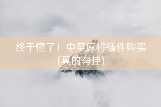 终于懂了！中至麻将插件购买(真的有挂)