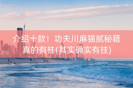 介绍十款！功夫川麻猫腻秘籍真的有挂(其实确实有挂)