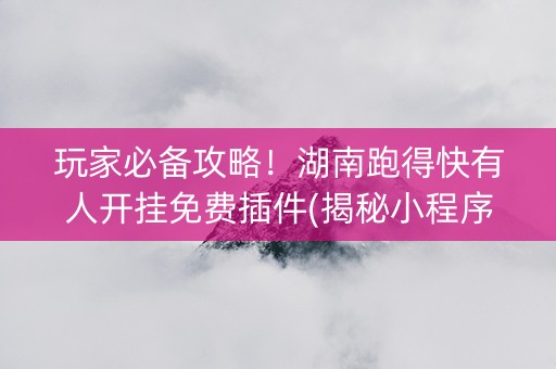 玩家必备攻略！湖南跑得快有人开挂免费插件(揭秘小程序助赢神器购买)